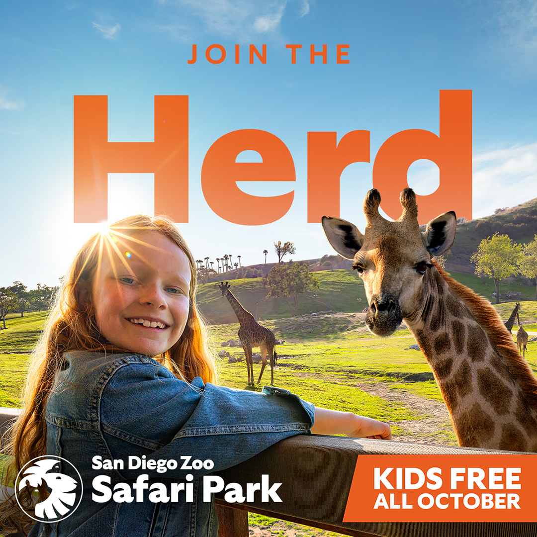 Win tickets to San Diego Zoo