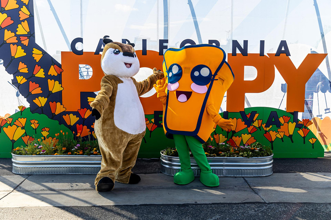 CA Poppy Festival